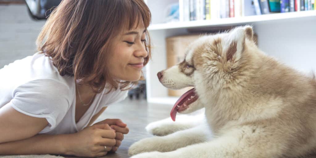 Prepping for Boarding your Pet