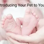 Baby feet being held