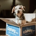Dog sitting in Chewy box