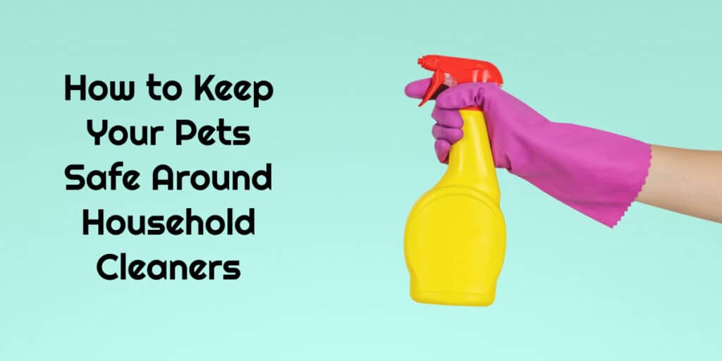 keeping pets safe around household cleaners