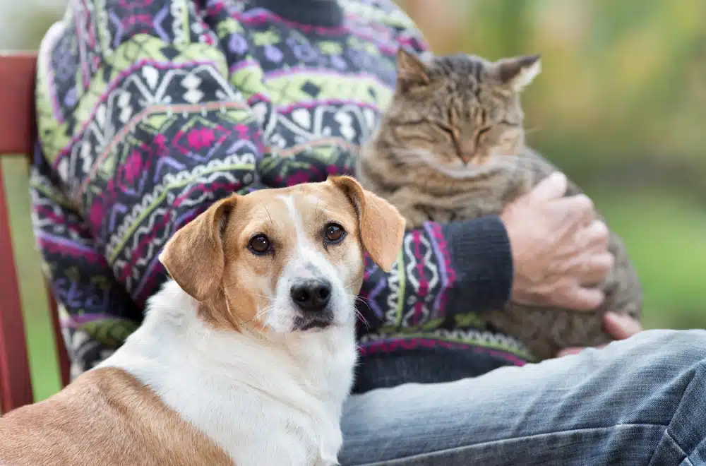 care-for-aging-pets