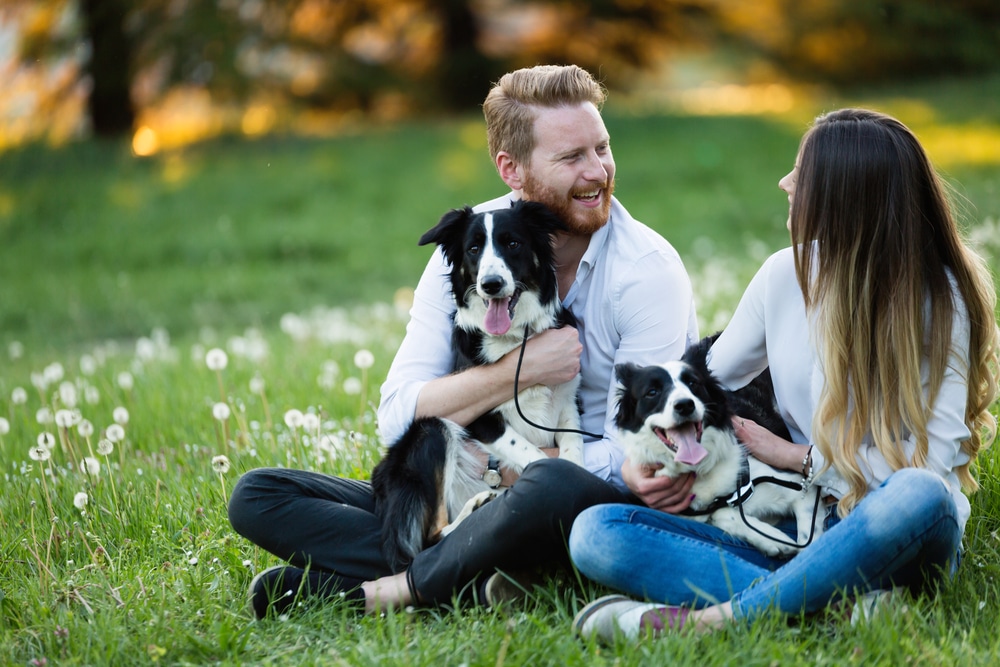 spring-season-change-keeping-pets-healthy